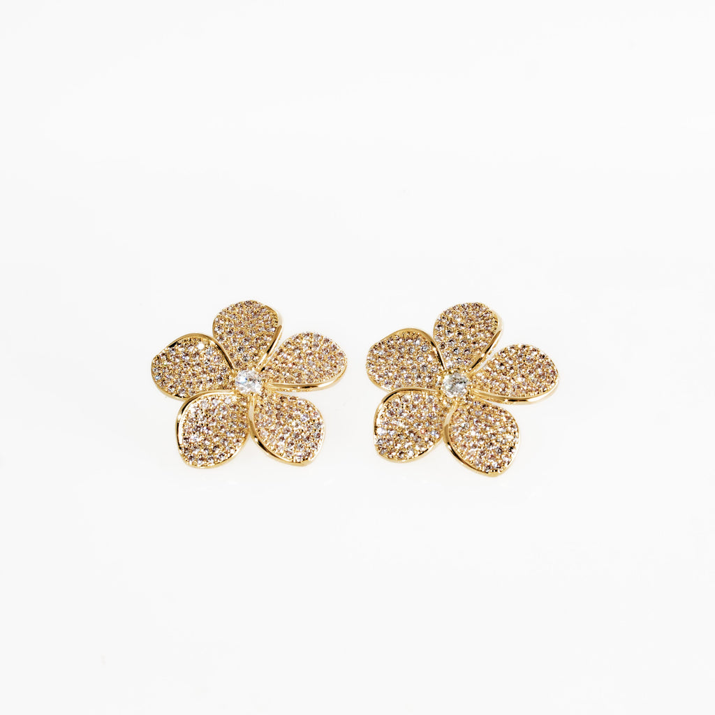 Aretes Petalia