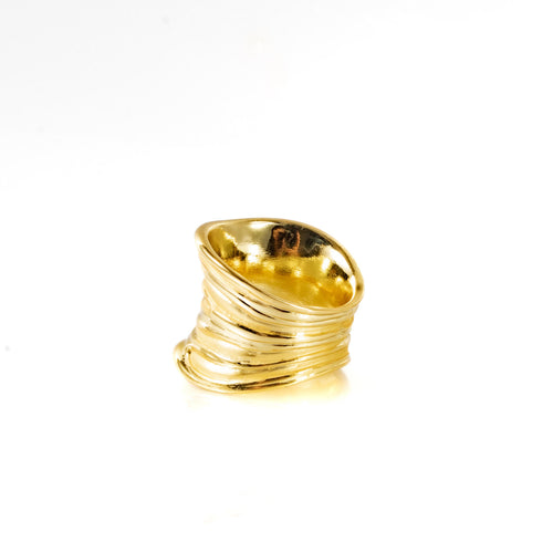 Anillo Void